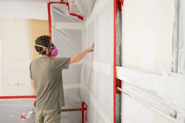 Best Mold Damage Restoration  in USA